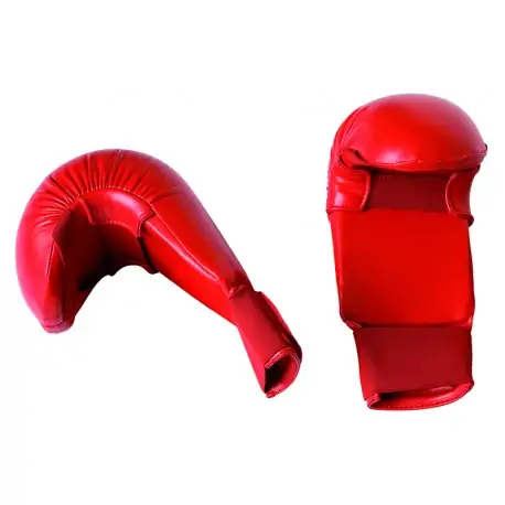 WKF Karate guanti gloves - Kombatnet blog