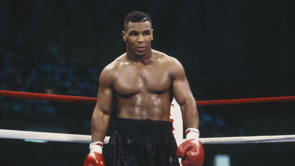 Mike Tyson - Kombatnet