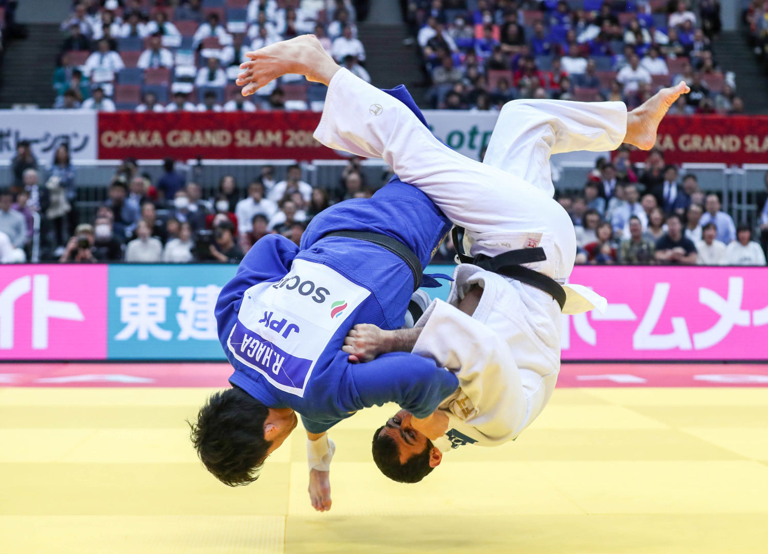 Ippon
